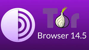 Без названия 1