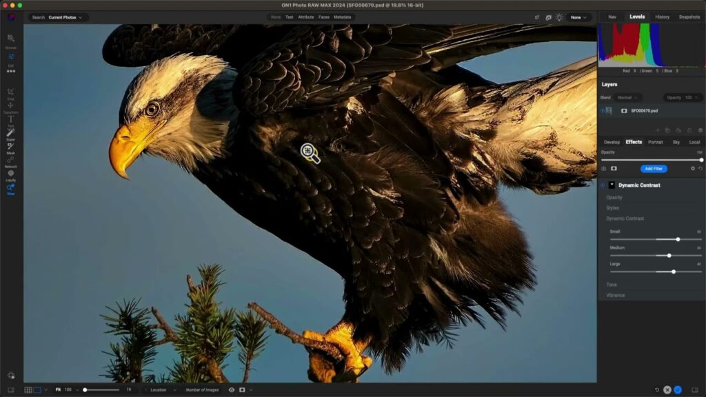 sneak peek use photo raw 2024 ma